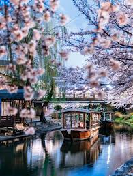 The 10 Best Cherry Blossom Locations In Kyoto