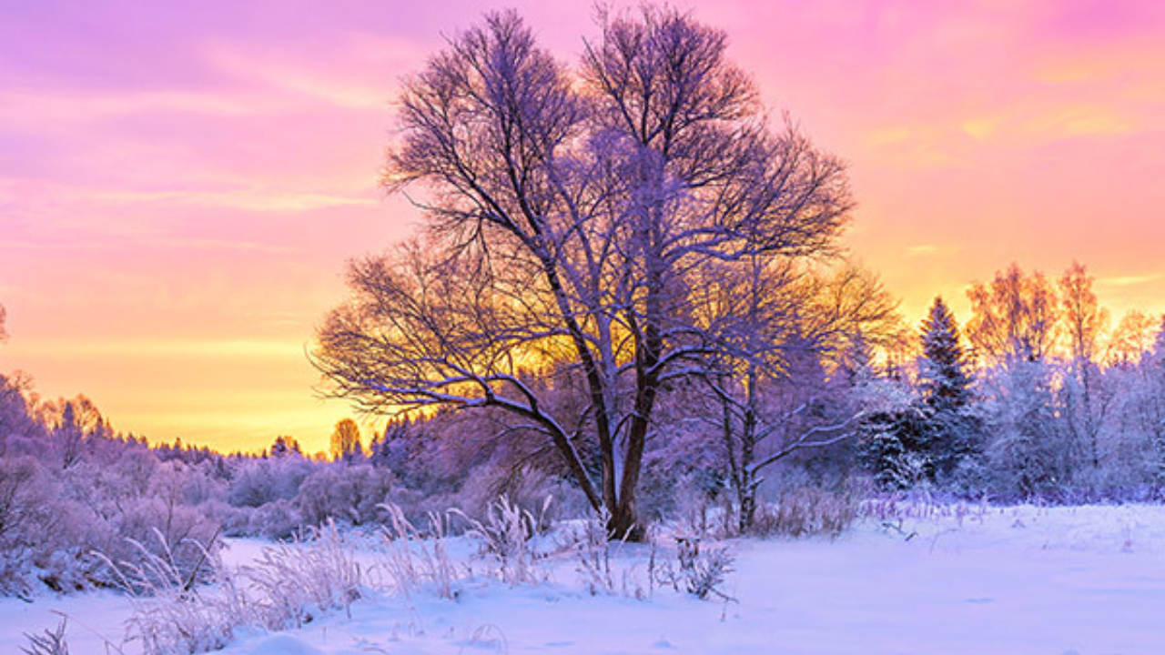 Top 5 Winter Vacation Packages for Mountain Lovers in India