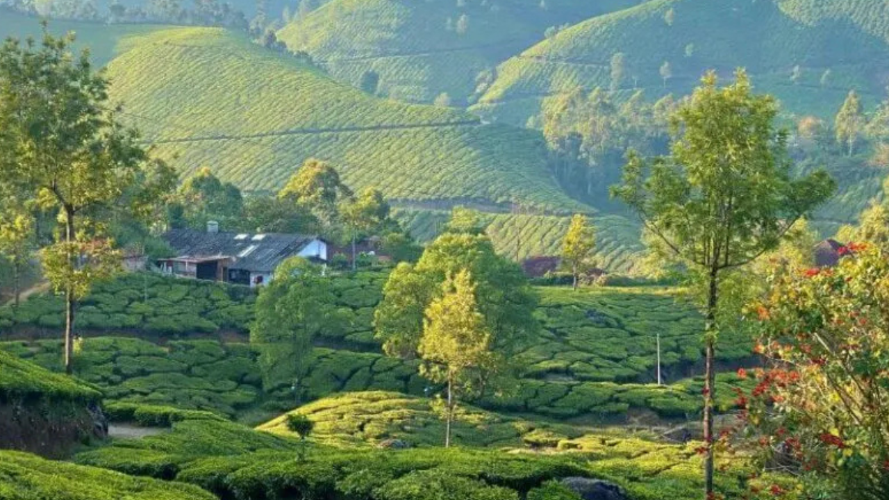 Top 6 Eco-Friendly Travel Destinations for Nature Lovers