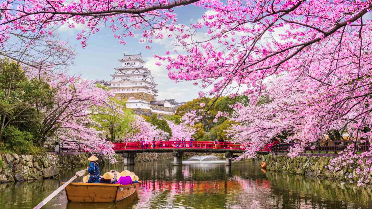 Top 5 Places to Visit Japan for Cherry Blossoms in 2025