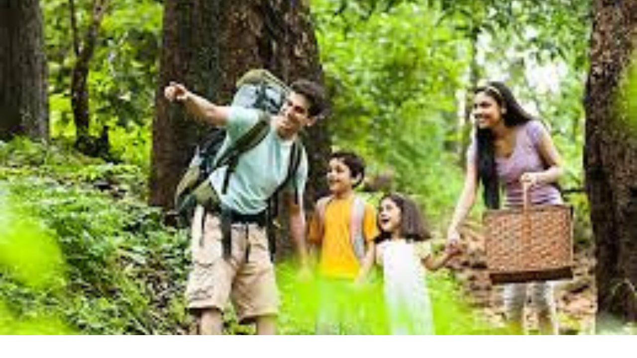 Safe Travel Destinations for Families with Children