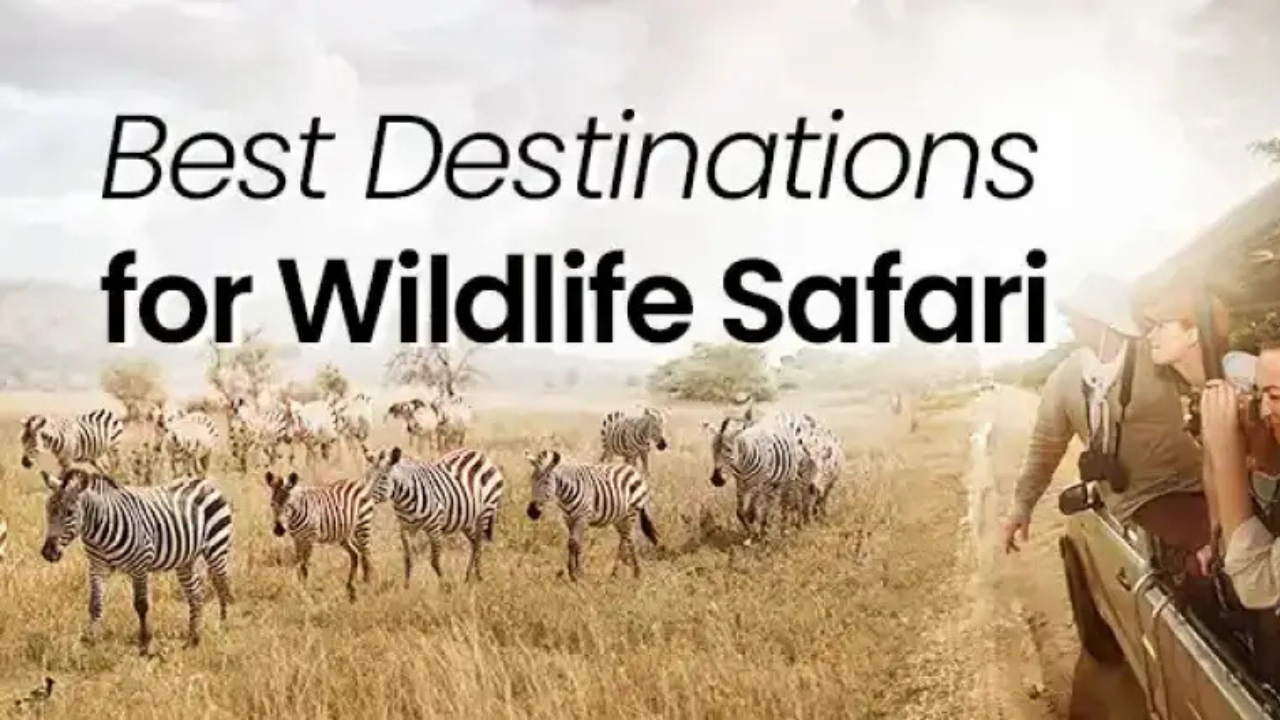 Best_Destinations_for_Wildlife_Safaris_2025