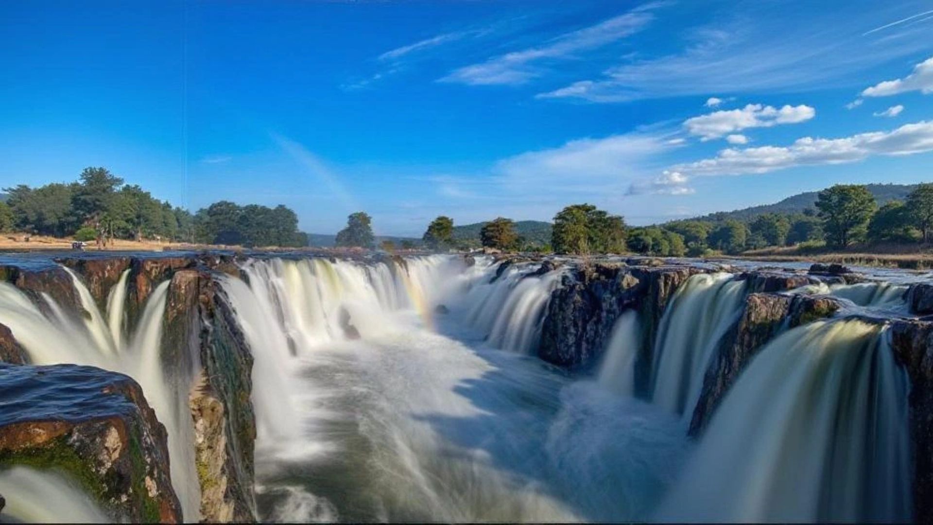 Top 5 Day Trips from Tamil Nadu for Nature Lovers