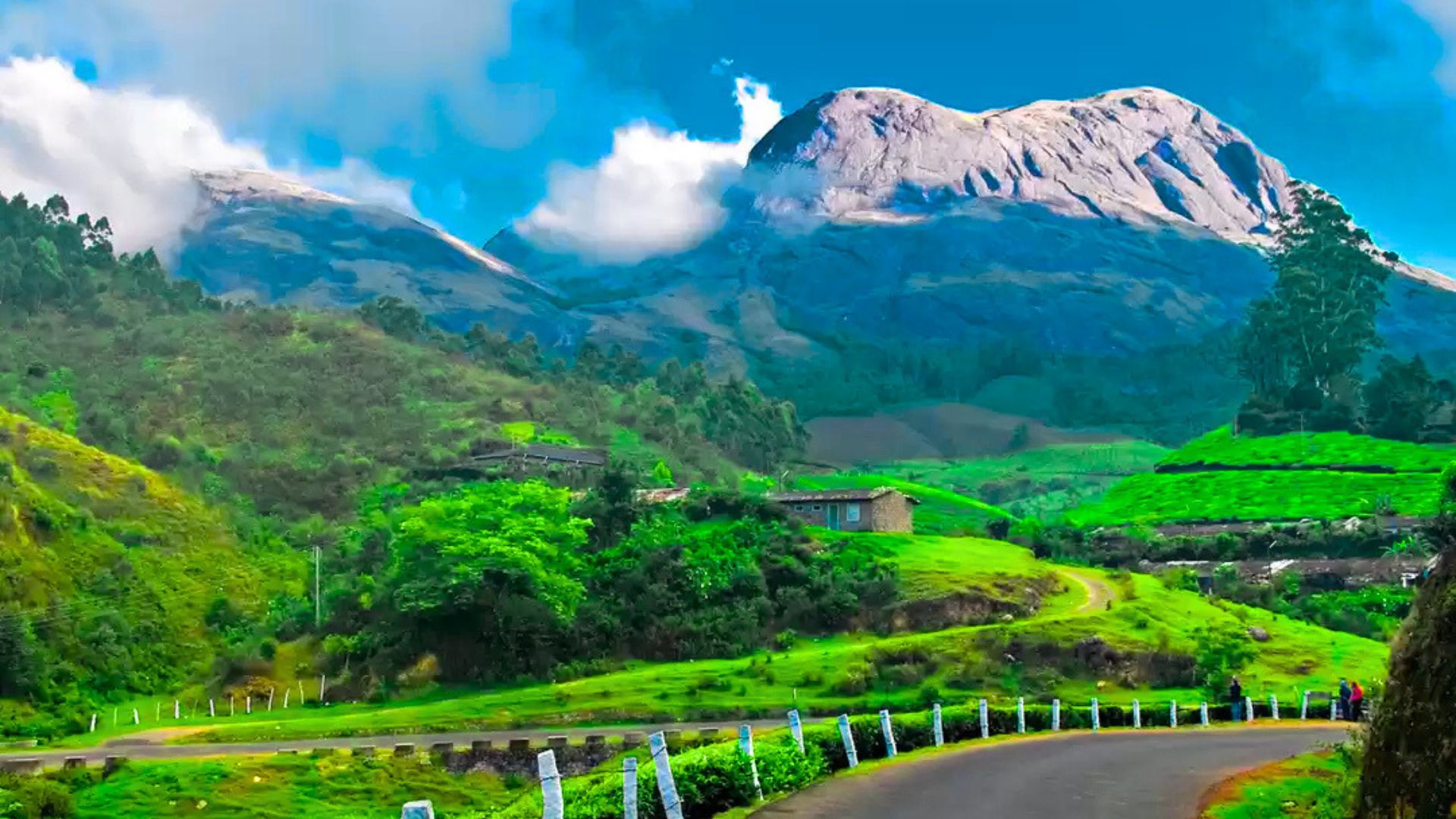 Top 8 Scenic Drives in South India for Road Trips