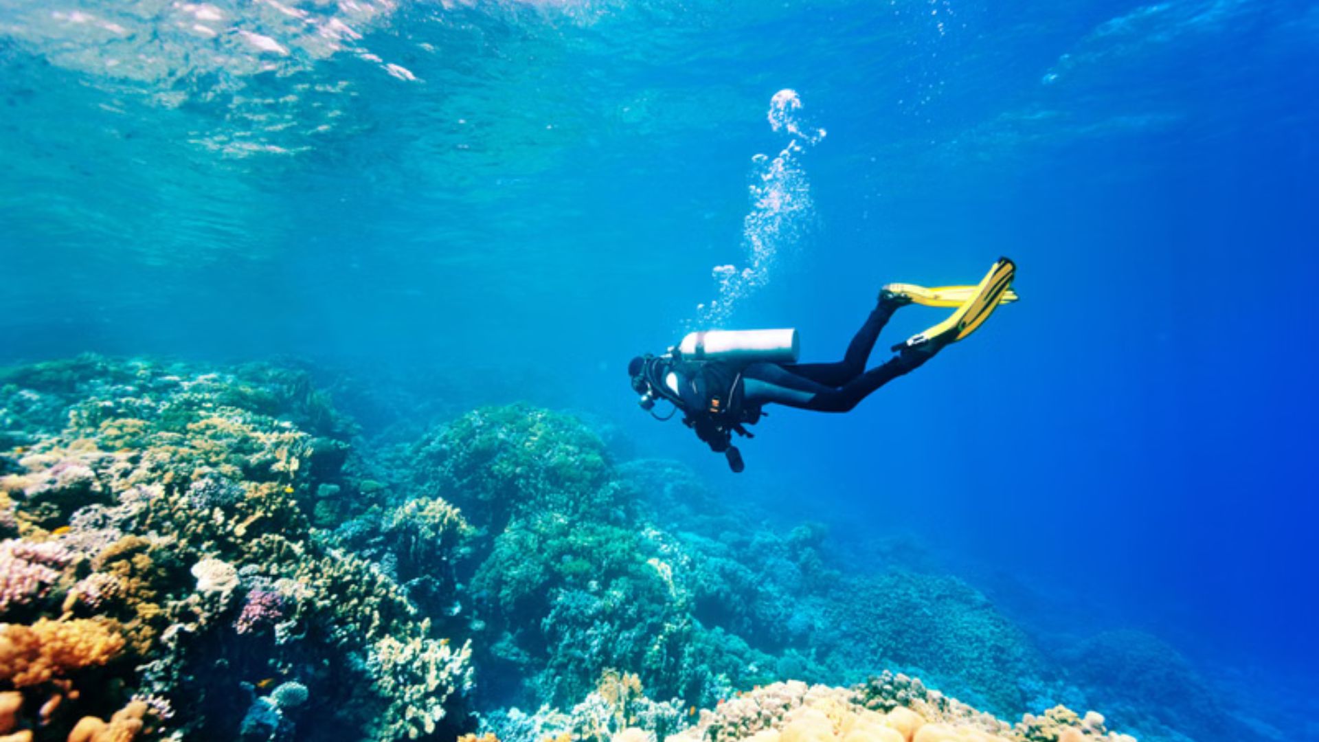 Top 20 Scuba diving destinations in India