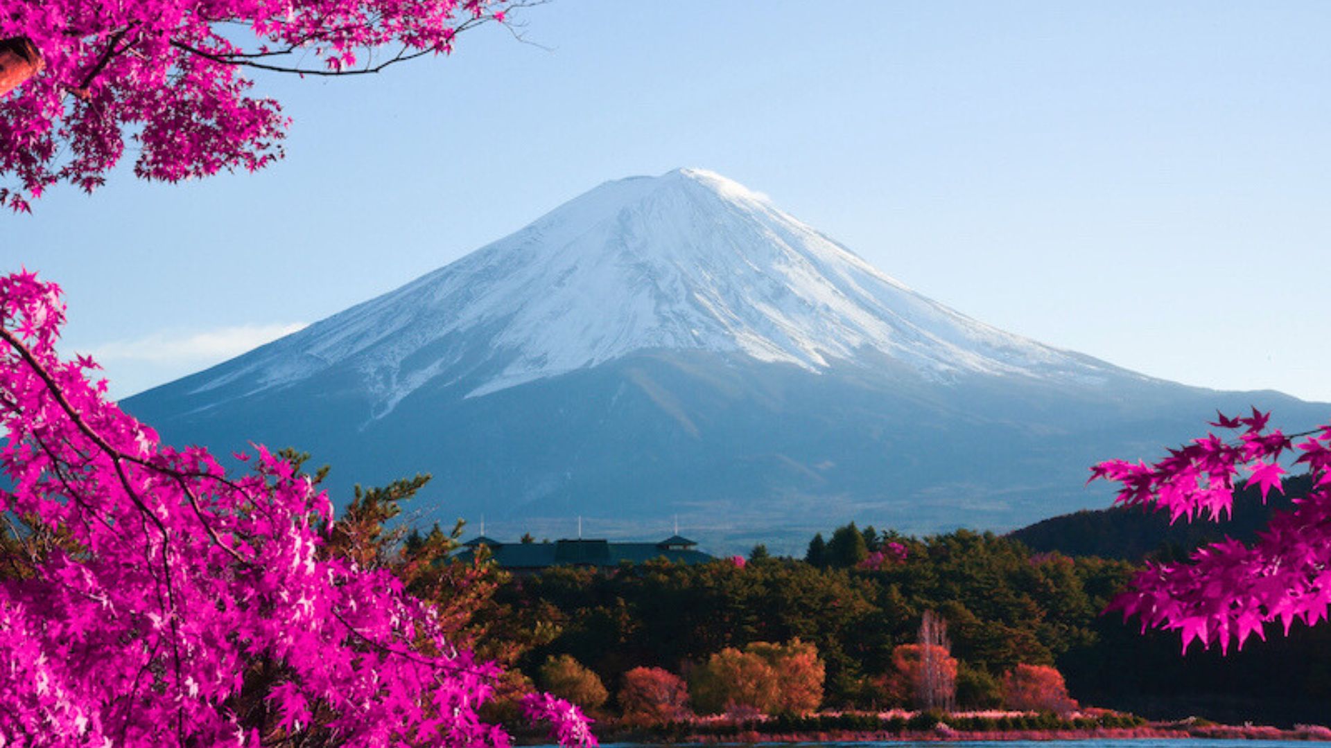 Top 7 Offbeat Travel Destinations in Japan