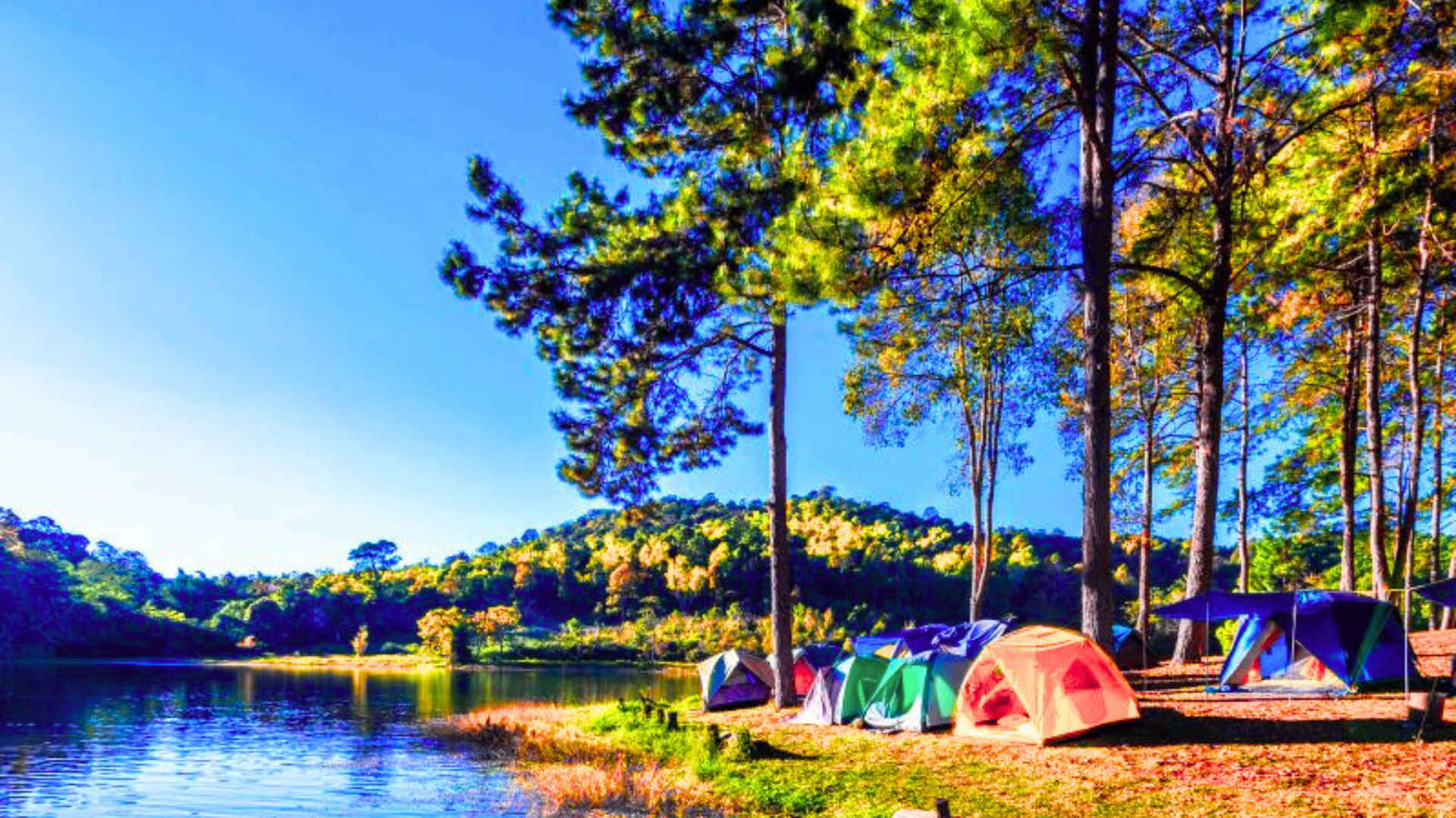 Top 7 Camping Destinations in Tamil Nadu Near Rivers and Lakes